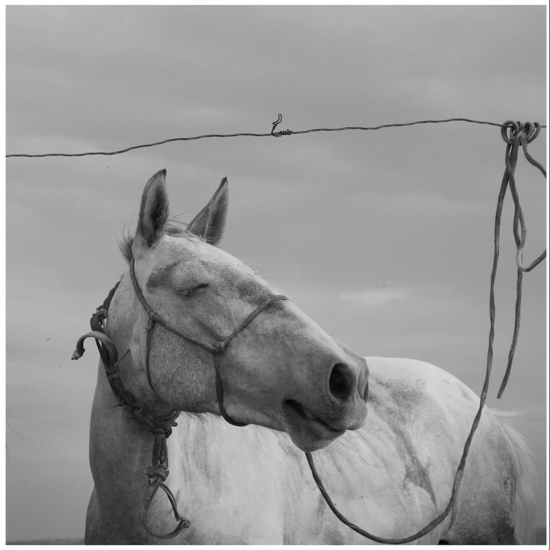 20140926032649571.jpg (800��800)