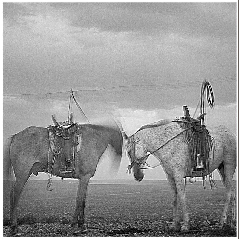 20140926032650214.jpg (800��800)