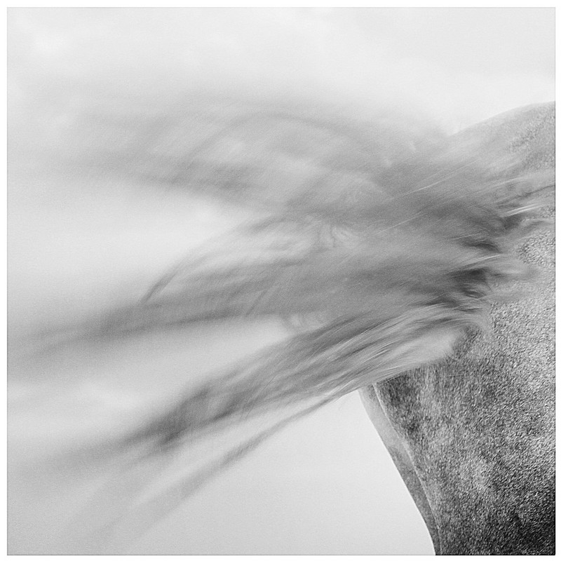 20140926032651308.jpg (800��800)