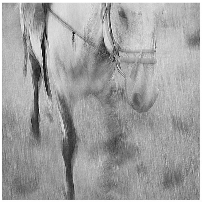 20140926032651637.jpg (800��800)