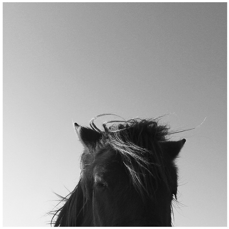 20140926032652382.jpg (800��800)