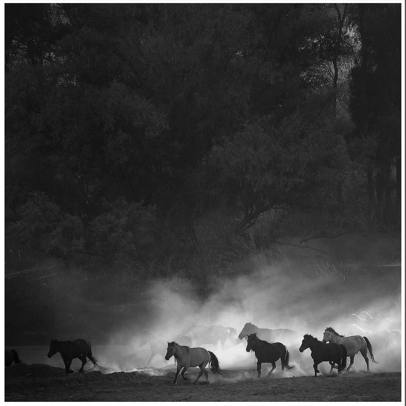 20140926032652424.jpg (800��800)