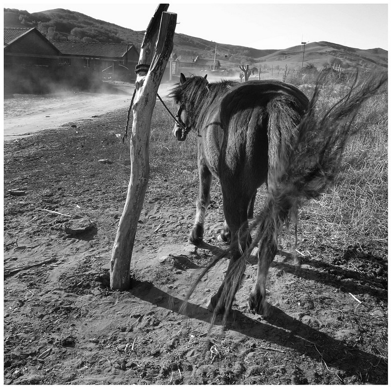 20140926032652568.jpg (800��792)