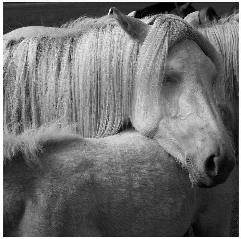 20140926032653207.jpg (800��795)