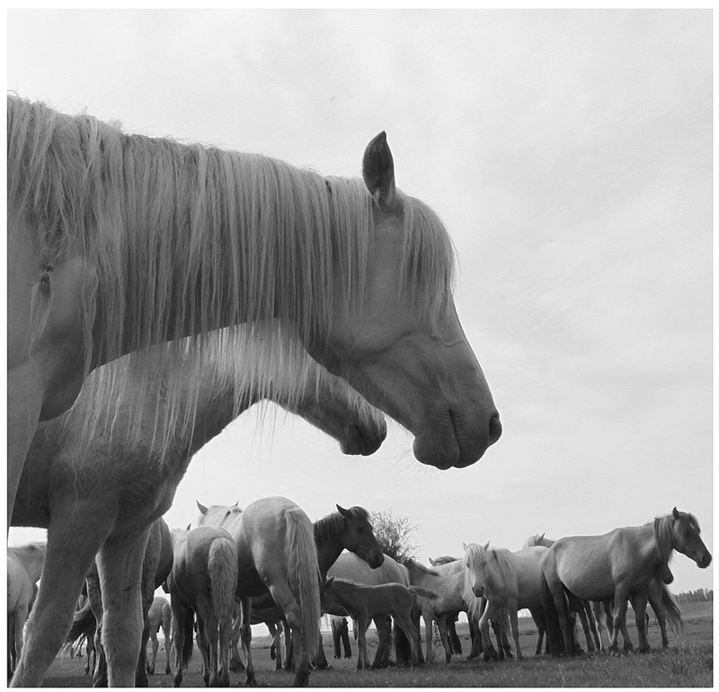 20140926032653381.jpg (800��770)