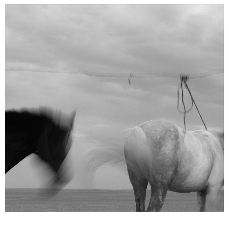 20140926032653837.jpg (790��800)