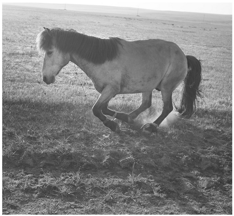 20140926032653949.jpg (800��741)