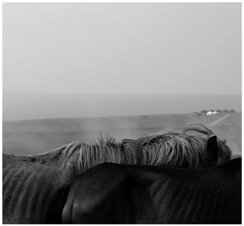 20140926032654799.jpg (800��742)