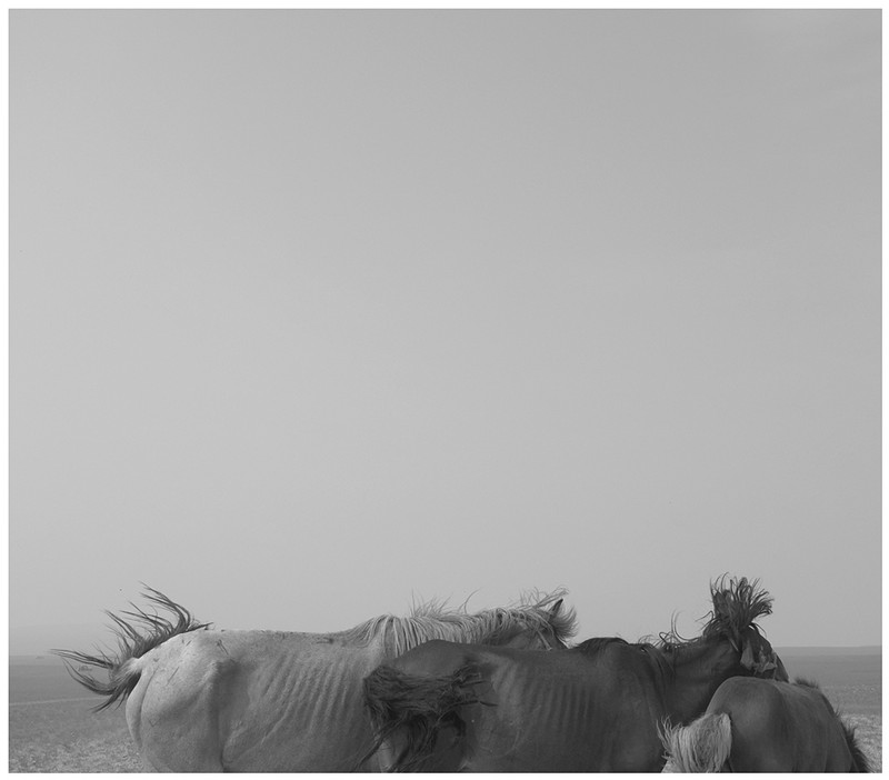 20140926032654893.jpg (800��702)