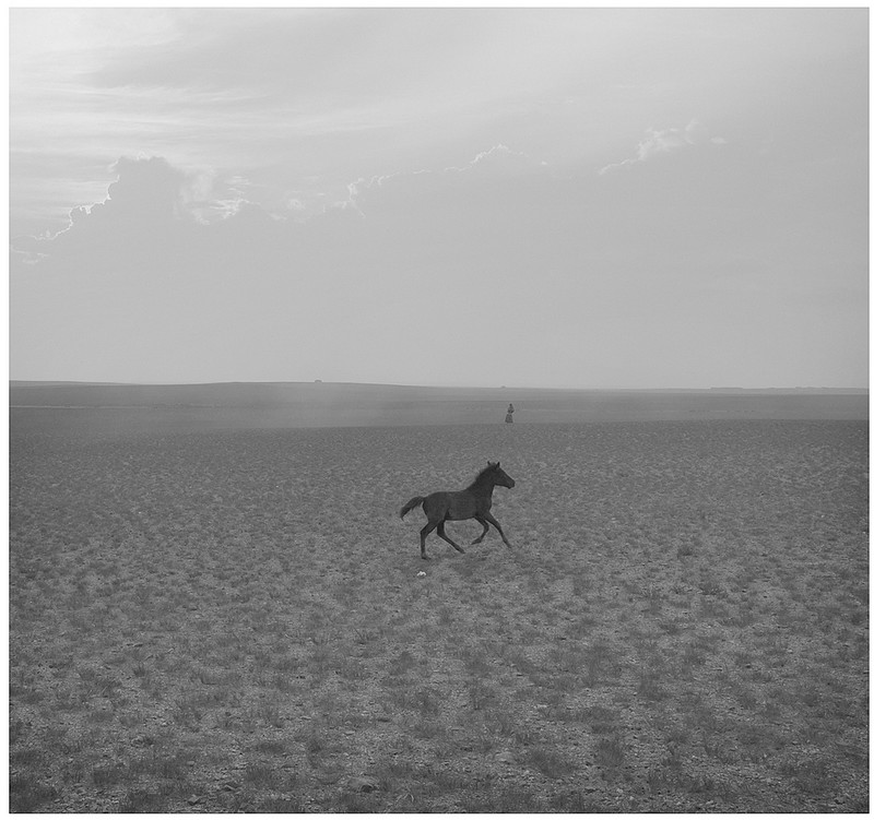 20140926032654986.jpg (800��751)