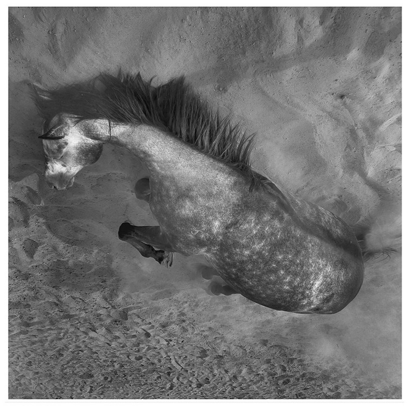 20140926032703583.jpg (800��797)