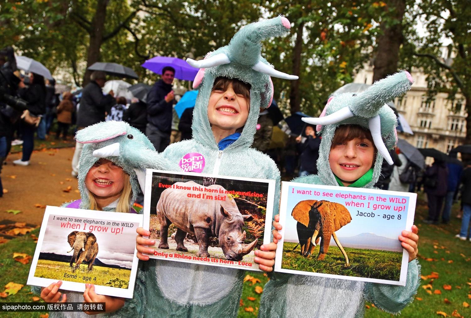 英国举行世界动物日游行 呼吁保护大象