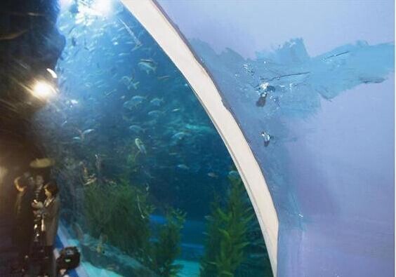 韩国第二乐天世界水族馆曾漏水 边修理边营业