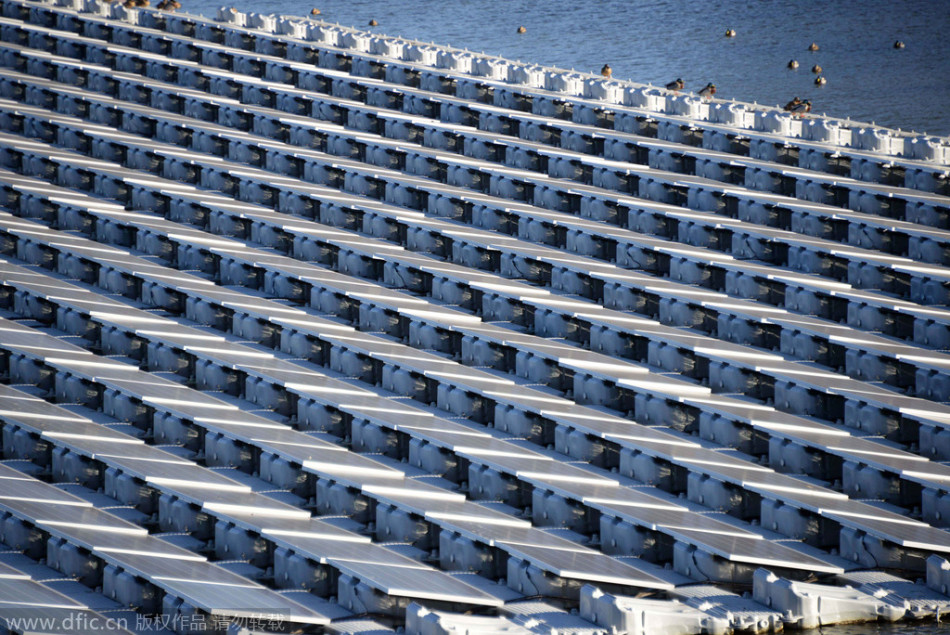 探访日本水上光伏电站:漂浮4500块电池板