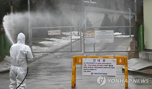 韩国为防禽流感疫情扩散 拟36小时禁运家禽