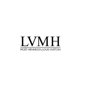 收入证明_lvmh收入(3)