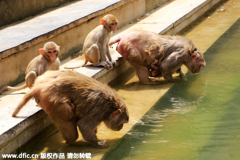 文章配图