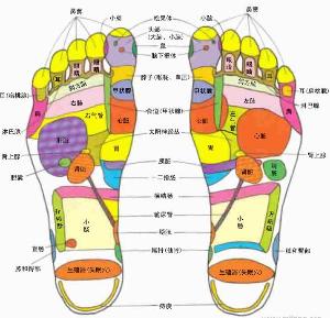 足底有64个反射区 天天洗脚胜吃补药