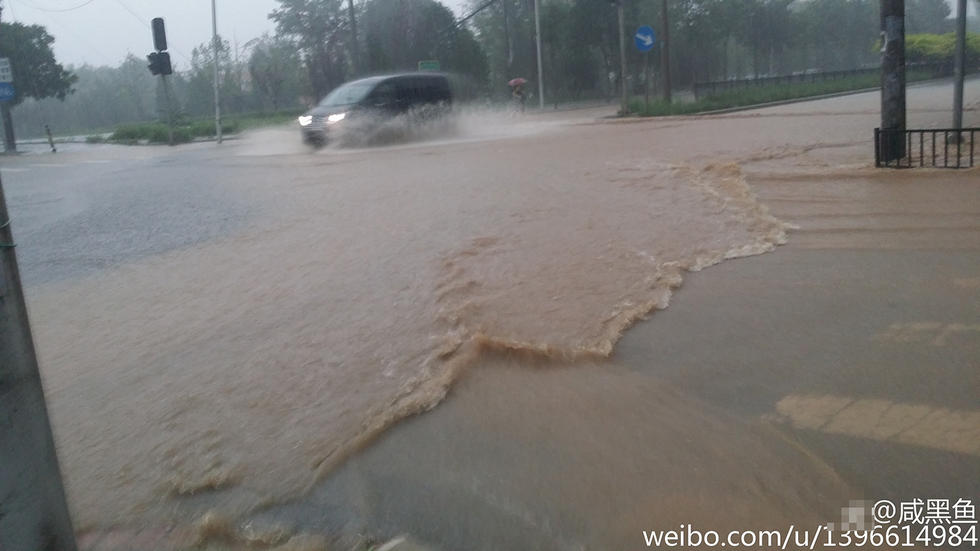 北京14区县降暴雨 局部降水超60毫米