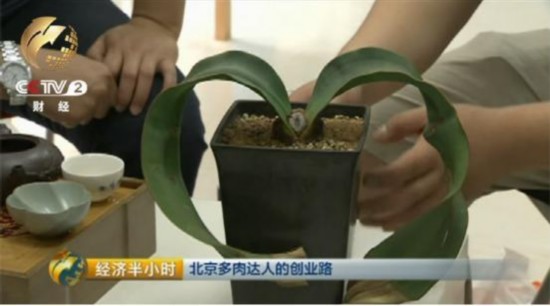 一寸照片的尺寸是多少_白领月收入是多少