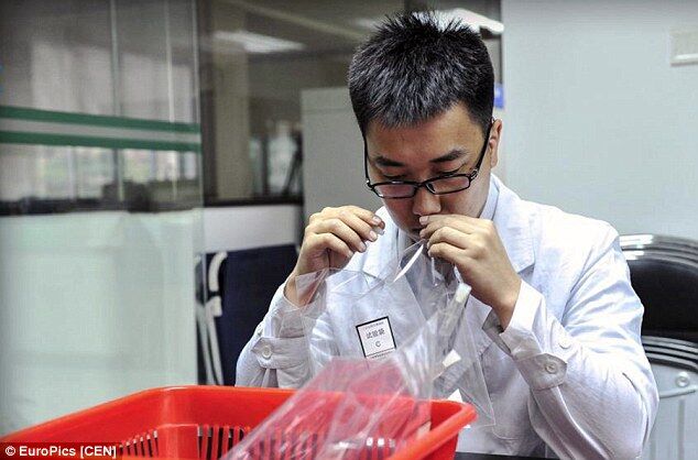 英媒关注广州聘气味专家嗅辨空气污染