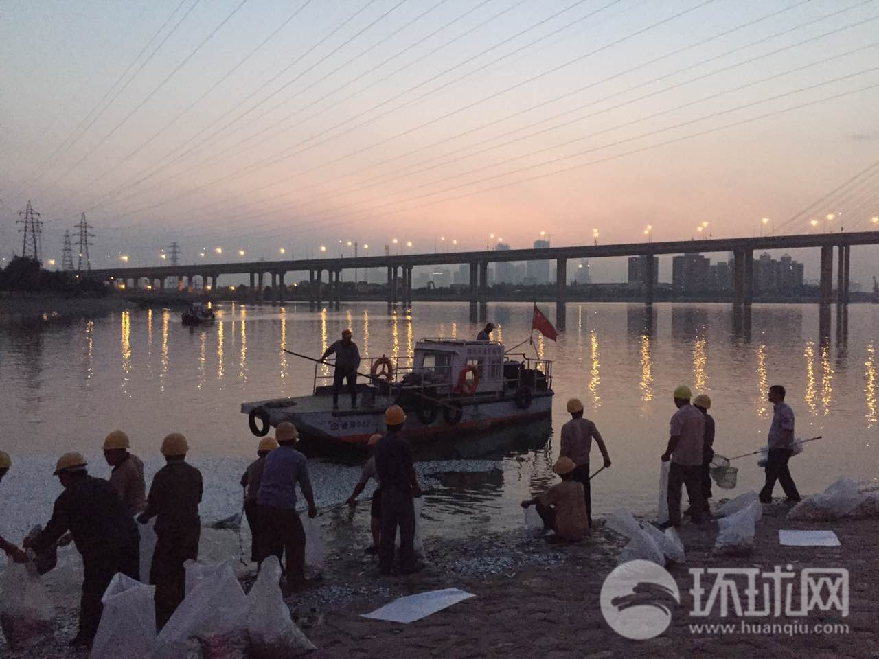 天津闸口海边现大量死鱼 水产局现场取样处理
