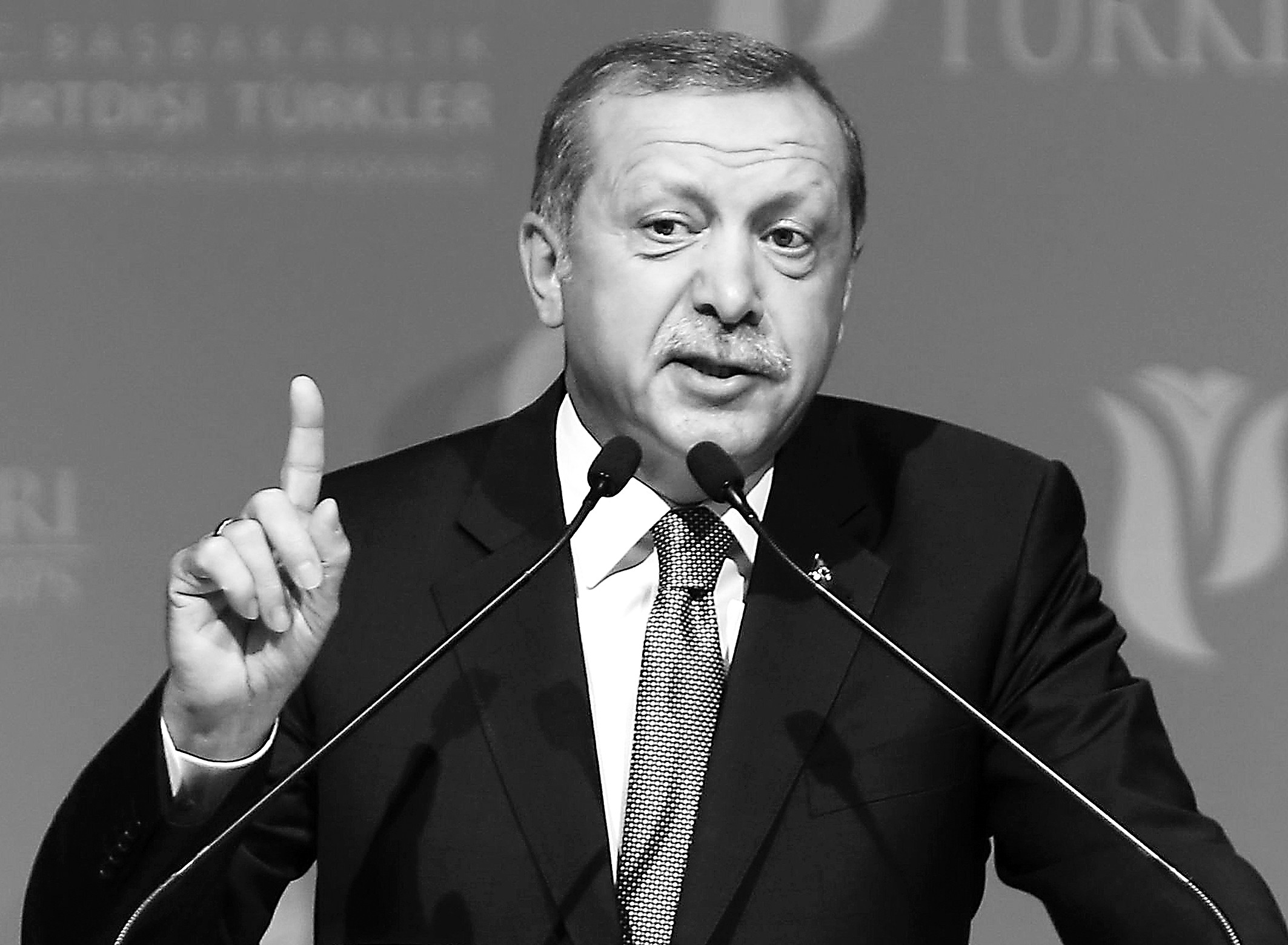 土总统:土耳其渴望加入上合组织 曾与中俄探讨_军事_环球网