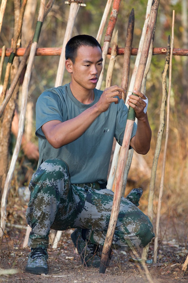 美丽中国“巨鸟”从容过街的背后(图1)