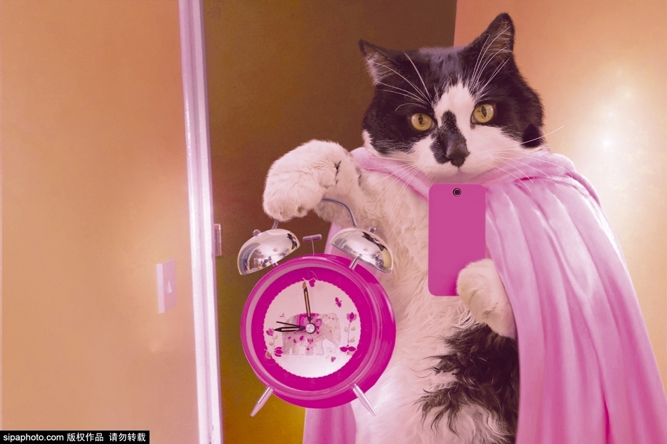 文章配图