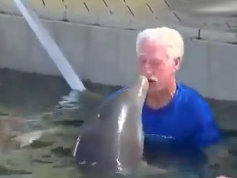 超搞笑老头与海豚用嘴喷水玩打水战
