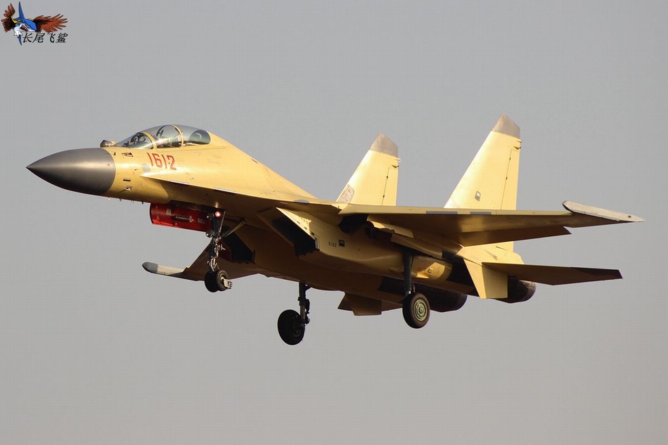 外媒：中国歼16战机小批量服役 海空军都要装备