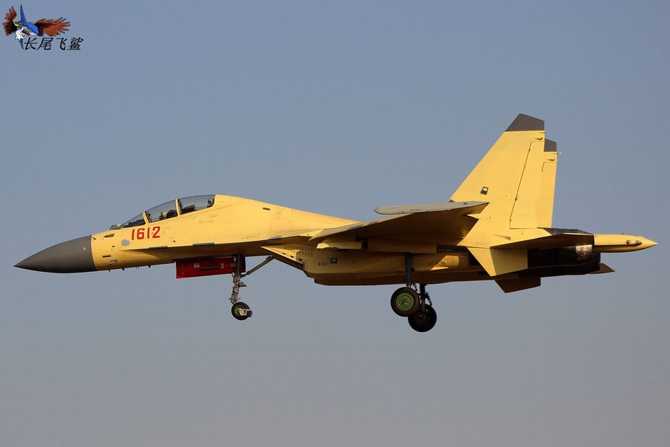 外媒：中国歼16战机小批量服役 海空军都要装备