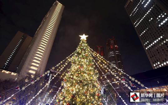 世界各国圣诞树“主要看气质”