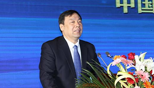 第十三届中国企业发展论坛--渤海新区峰会开幕