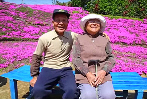 日男子为失明妻子打造浪漫花园引访者