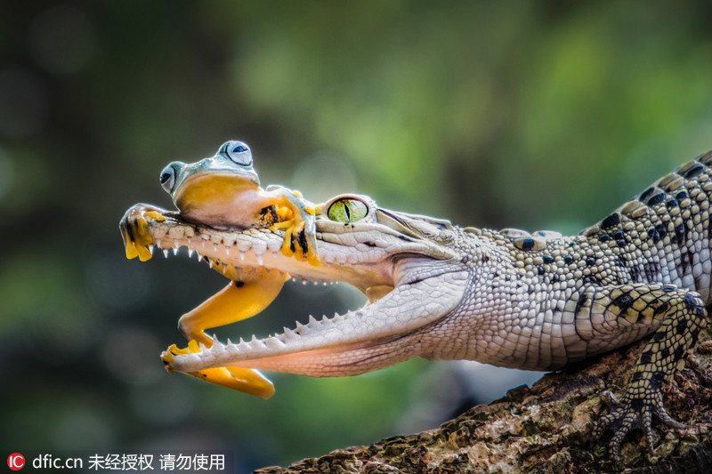 文章配图