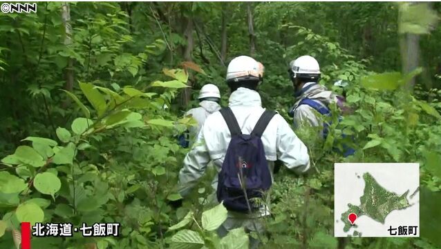 日本7岁男童被“管教”后失踪 父亲或被追究罪责