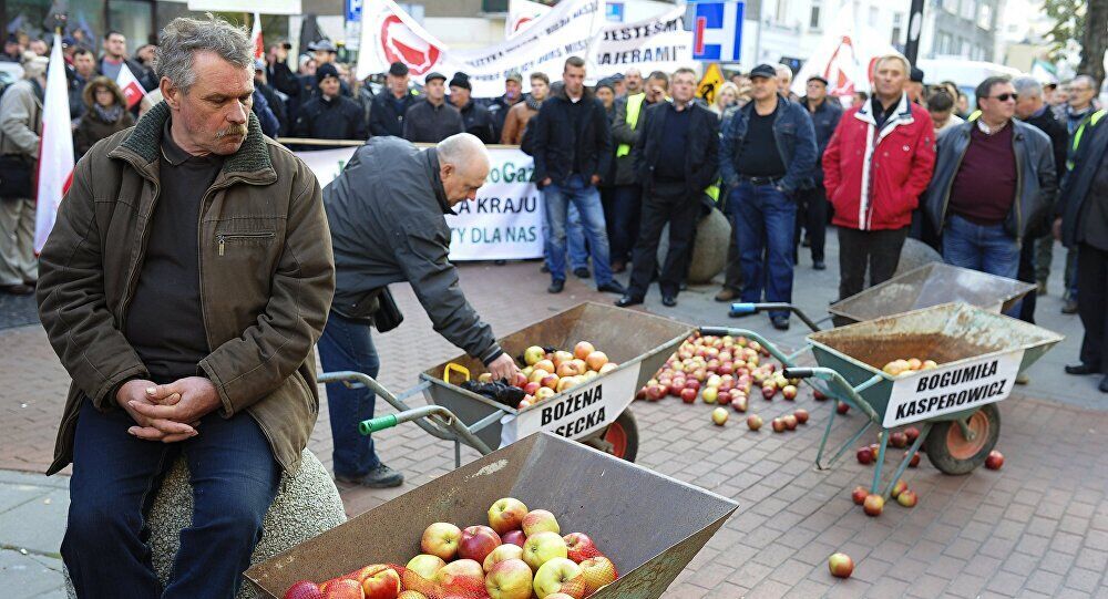 俄媒：水果滞销致波兰农民对制裁俄罗斯问题立场动摇