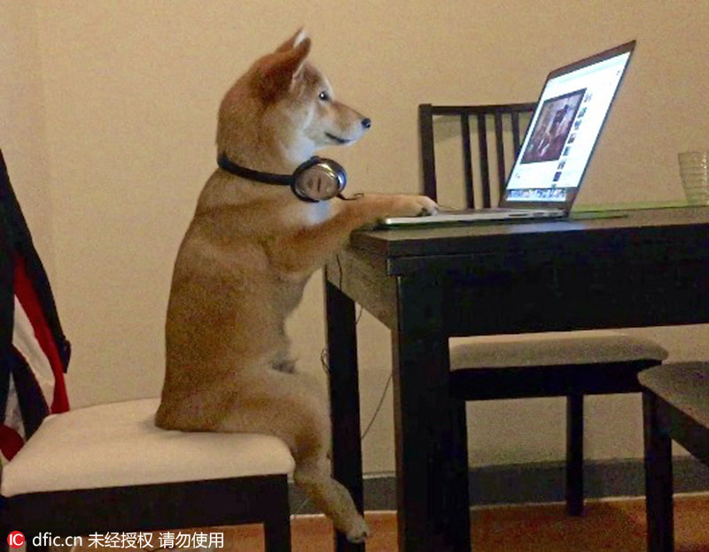 文章配图