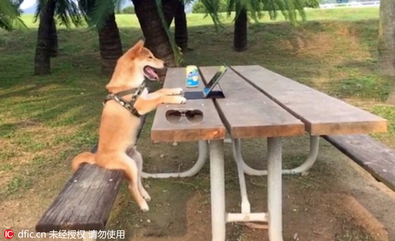 文章配图