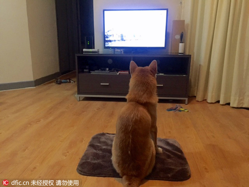 文章配图