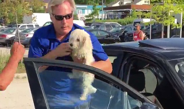 加狗狗被锁车内中暑虚脱 路人怒砸车窗将其救出