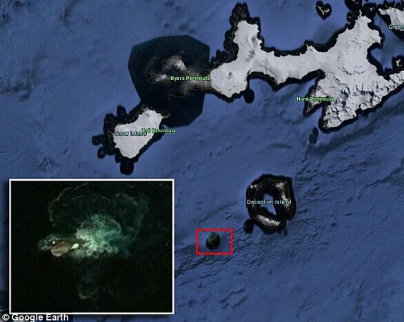 南极洲惊现挪威海怪？网友称其身躯加触须长120米