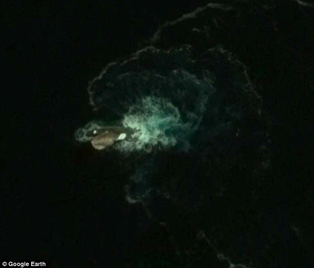 南极海岛疑似出现海怪 体长30米像蛇颈龙
