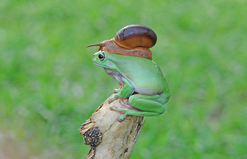文章配图