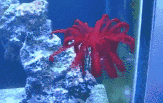 张培萌:尿检就像审犯人 有人盯着看根本尿不出