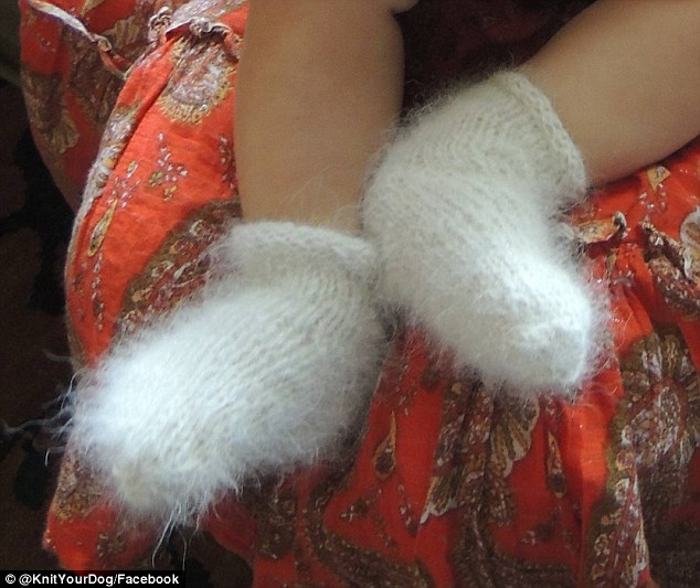英女子用宠物狗毛发制作毛纺织品 温暖有颜值