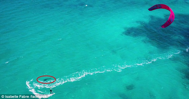 法国旅游女博主风筝冲浪时偶遇大白鲨