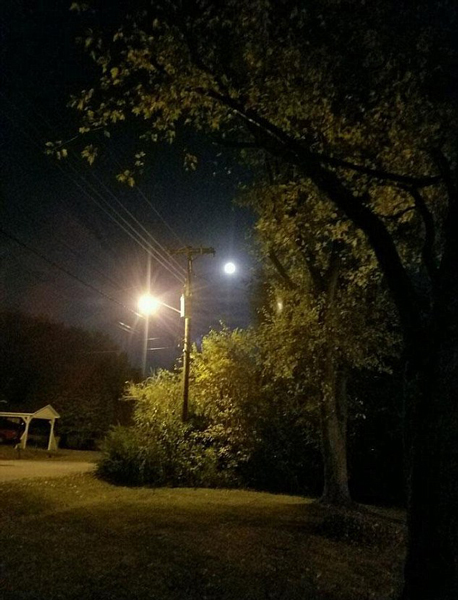 美男子月圆之夜拍下草坪上灵异照片引热议