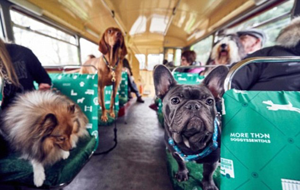 世界首班狗狗观光巴士在伦敦闪亮登场